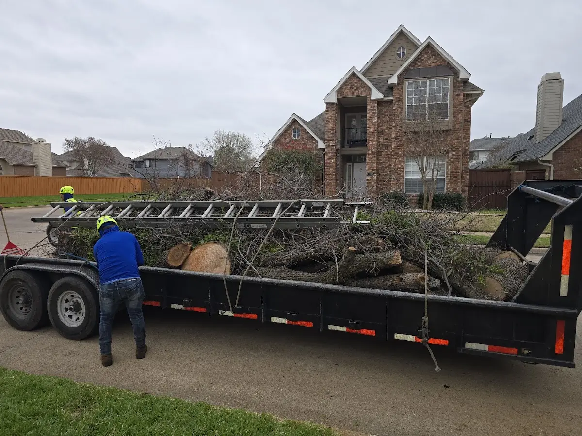 Expert Tree Removal with proper safety equipment in Drennen